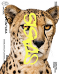 YELLOW CATURRA