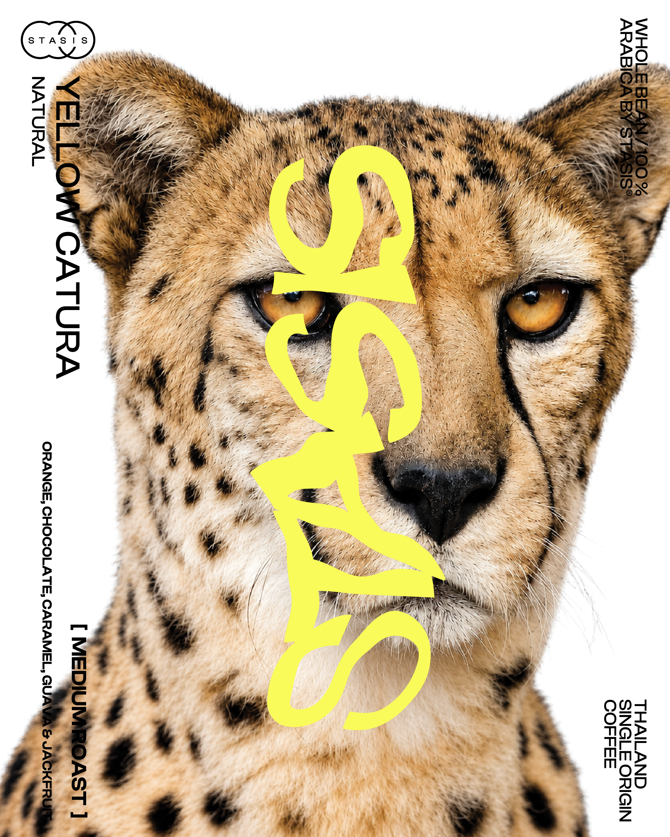 YELLOW CATURRA