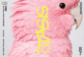 P88